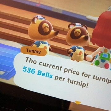 PerpetuallyPail's tweet photo. Feel free to hit me up for that dodo code, best turnip price I’ve ever had at 536 and I’m happy to share the wealth 

#AnimalCrossingNewHorizions #turnipprices #TurnipPrice https://t.co/zQ3FngdzyG