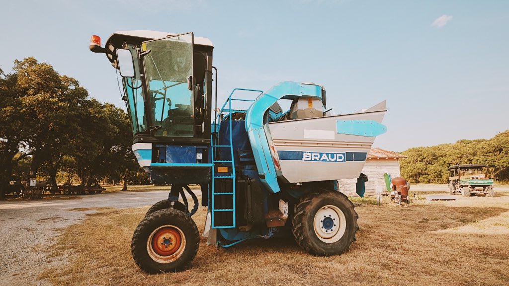 DoubleGoldCab's tweet photo. We are all ready to start harvesting bright and early tomorrow morning! 🌤🍇  #txwine #harvest #harvesting #harvest2020 https://t.co/PhhtGuKTpY