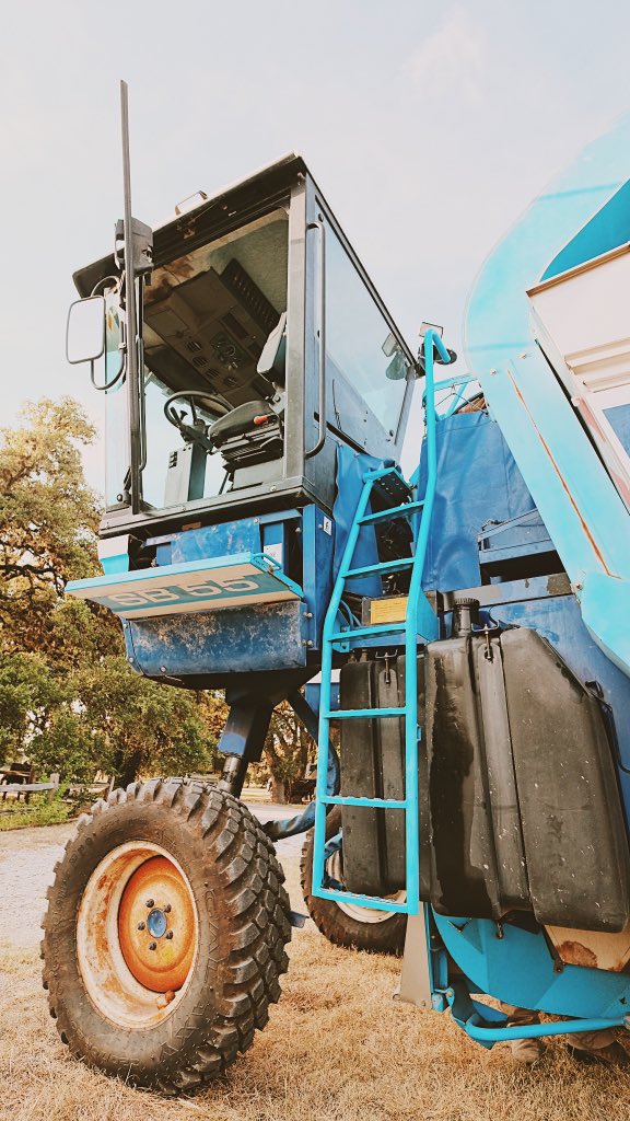 DoubleGoldCab's tweet photo. We are all ready to start harvesting bright and early tomorrow morning! 🌤🍇  #txwine #harvest #harvesting #harvest2020 https://t.co/PhhtGuKTpY