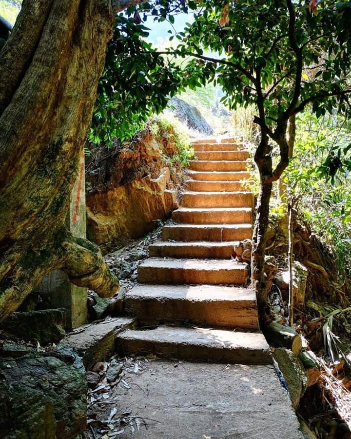 Amazingphotoslk's tweet photo. Sri Lanka 😍 https://t.co/Q6eG2c0Du5