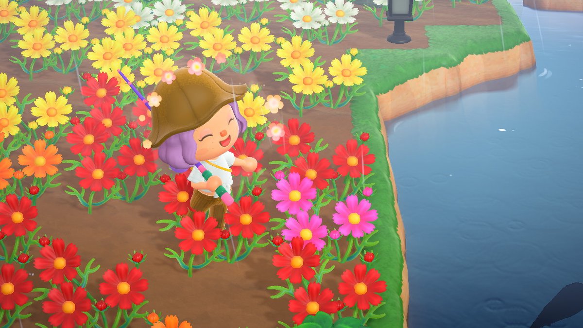 Skye_Horizons's tweet photo. When you finally grow a hybrid flower #AnimalCrossing #ACNH #NintendoSwitch https://t.co/yPhyaasEXJ