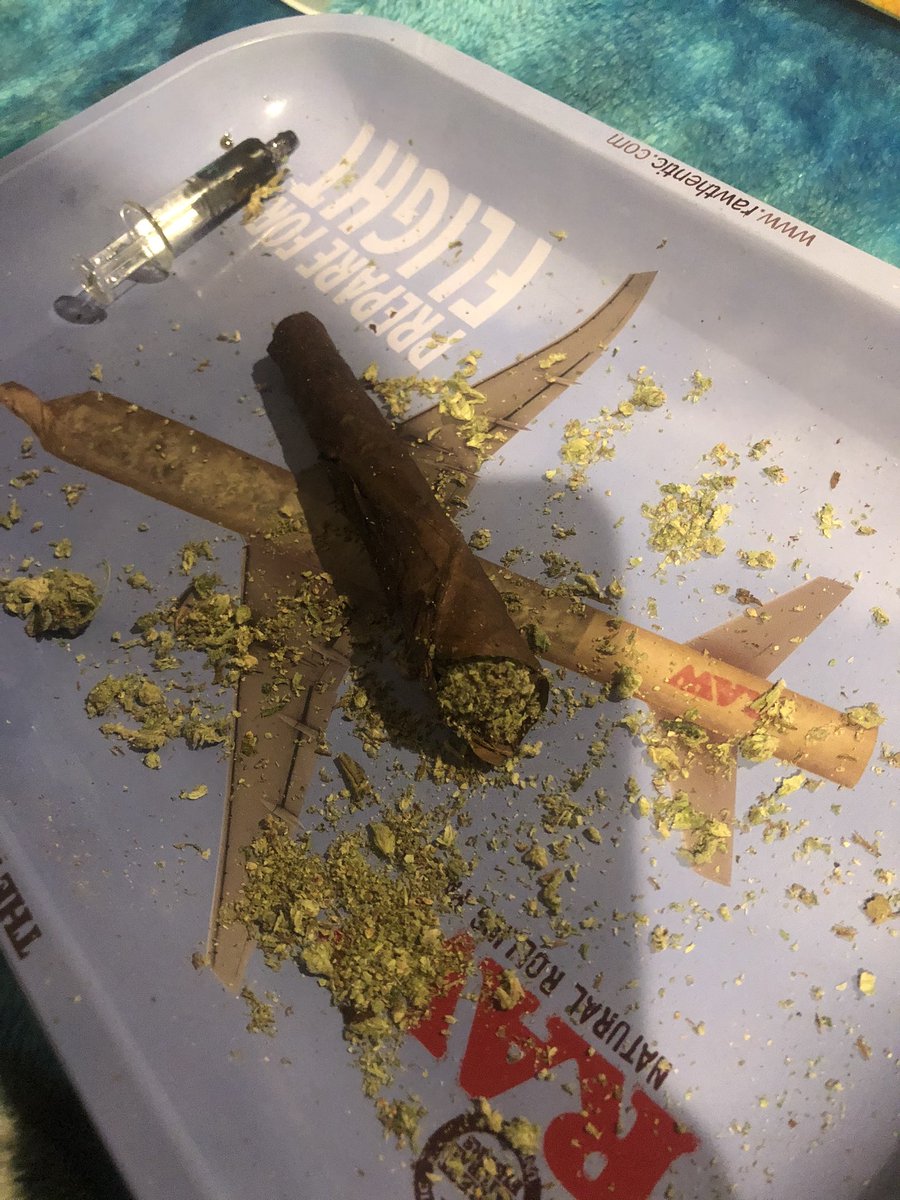 Hannkitty_'s tweet photo. Purrrfectly rolled backwood. 😋 https://t.co/wOAkyBZtWA