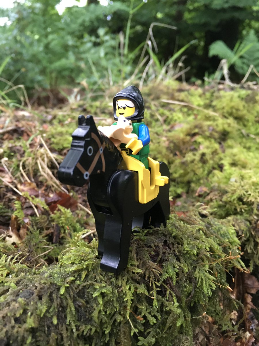 Flyingcloudkity's tweet photo. #CatkinsAdventures series 3, Part 4 of 6 https://t.co/qyABiGSKfc