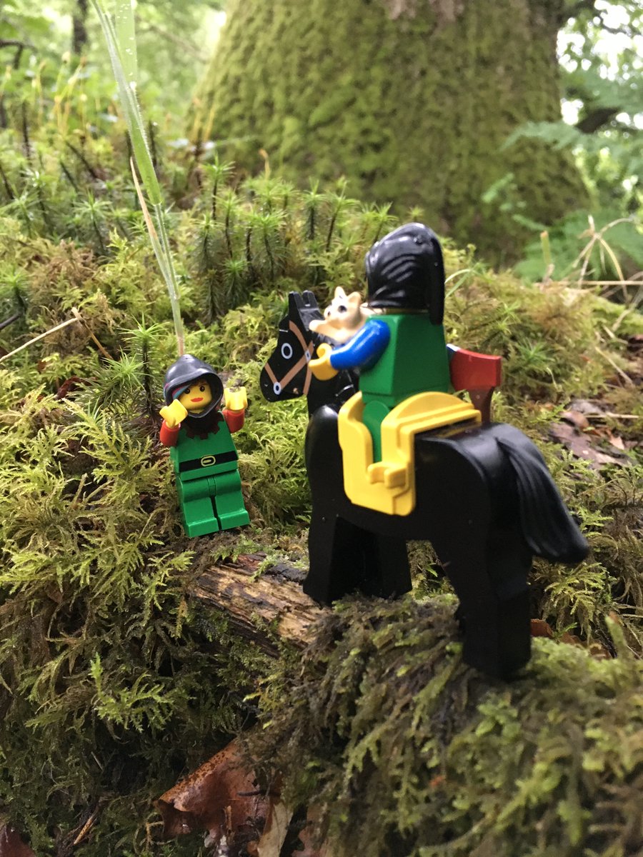Flyingcloudkity's tweet photo. #CatkinsAdventures series 3, Part 4 of 6 https://t.co/qyABiGSKfc