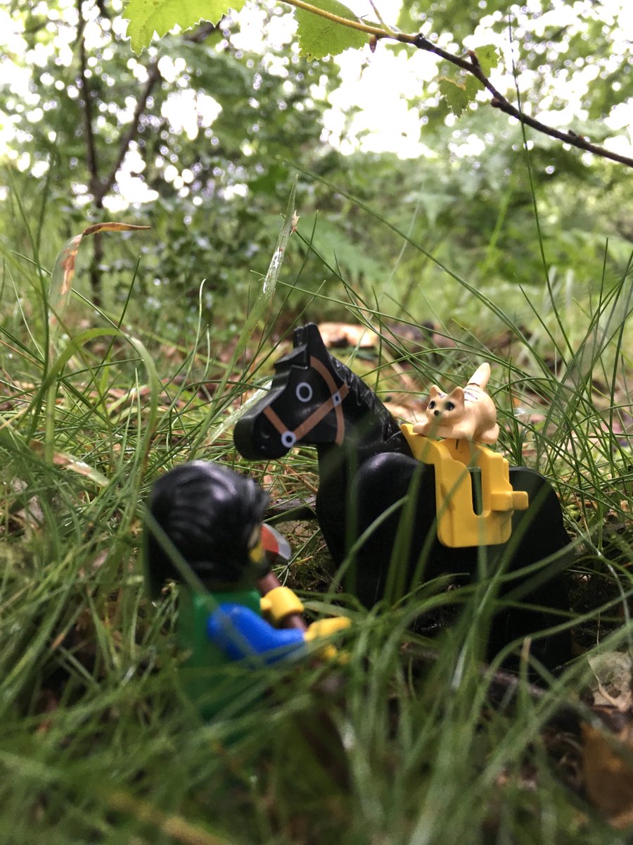 Flyingcloudkity's tweet photo. #CatkinsAdventures series 3, Part 3 of 6 https://t.co/L80gc5JHj8