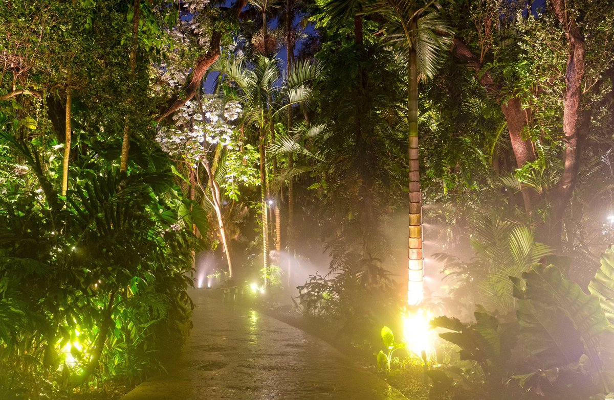 carllewis's tweet photo. Surprise! The @FairchildGarden Rainforest is now a stunning, illuminated Cloud Forest experience. Looking forward to sharing this magic with everyone soon. https://t.co/0LmGz3LfEX