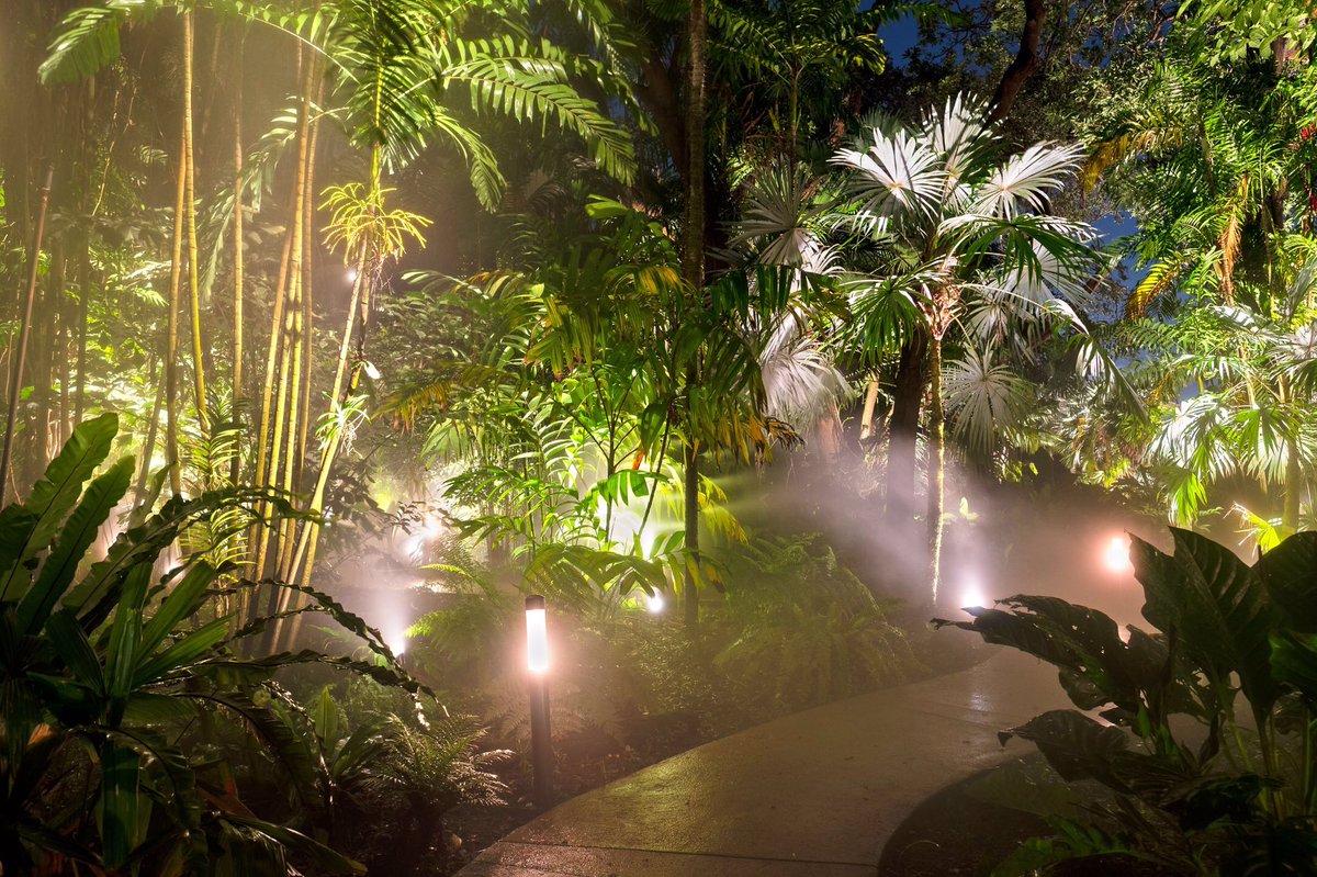 carllewis's tweet photo. Surprise! The @FairchildGarden Rainforest is now a stunning, illuminated Cloud Forest experience. Looking forward to sharing this magic with everyone soon. https://t.co/0LmGz3LfEX