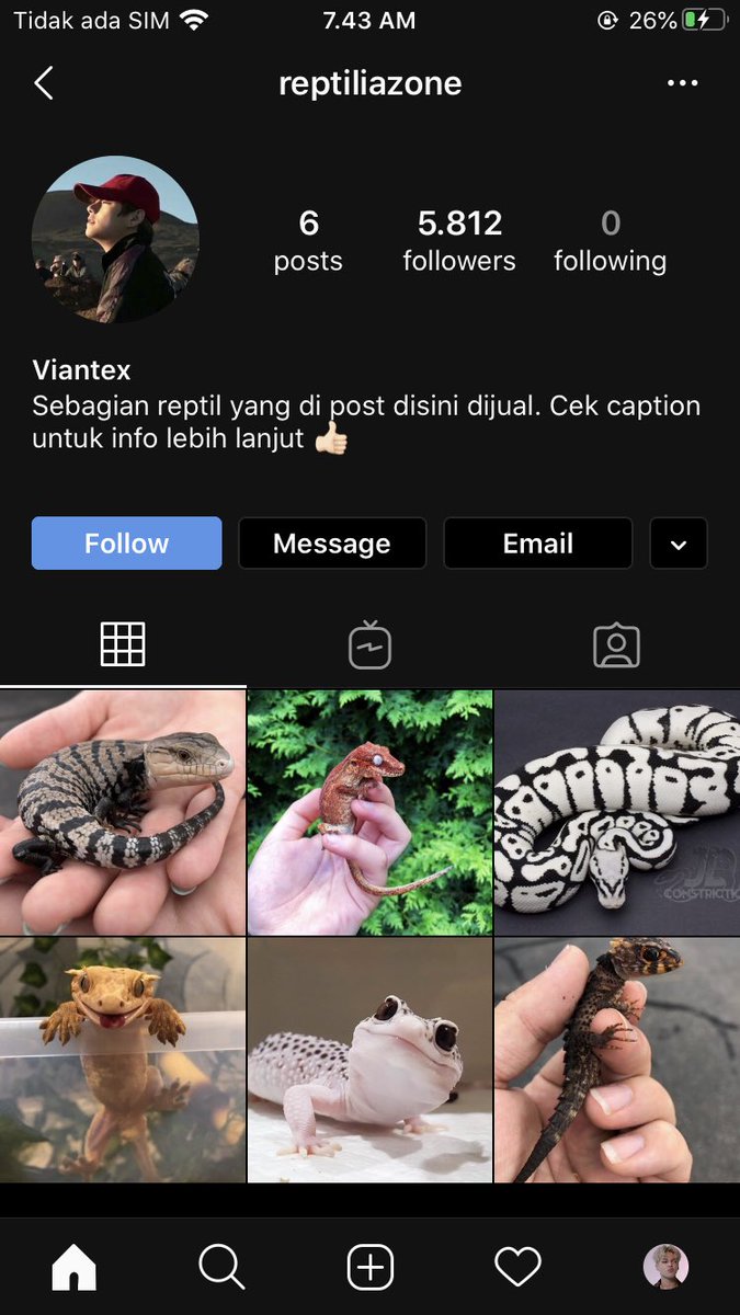 Winnie tweet media