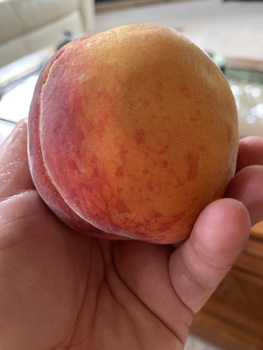 nikkibayley's tweet photo. First #okanaganpeach of the season.
And it was magnificent.
#eatBC https://t.co/J6Qfr49P76