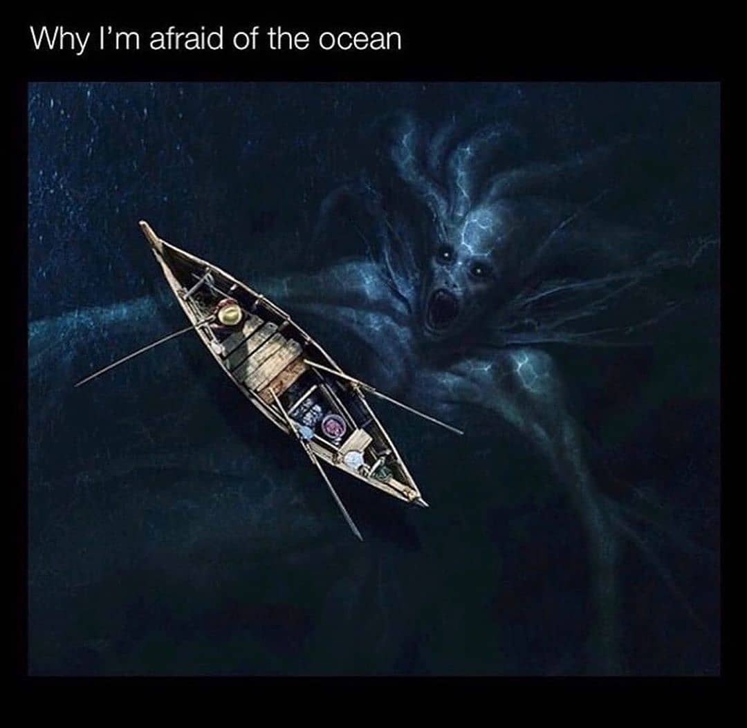 ScareStreet's tweet photo. Are you afraid of the ocean? Why or why not? π€
#phobia #scarestreet https://t.co/oe6SsSPMOL