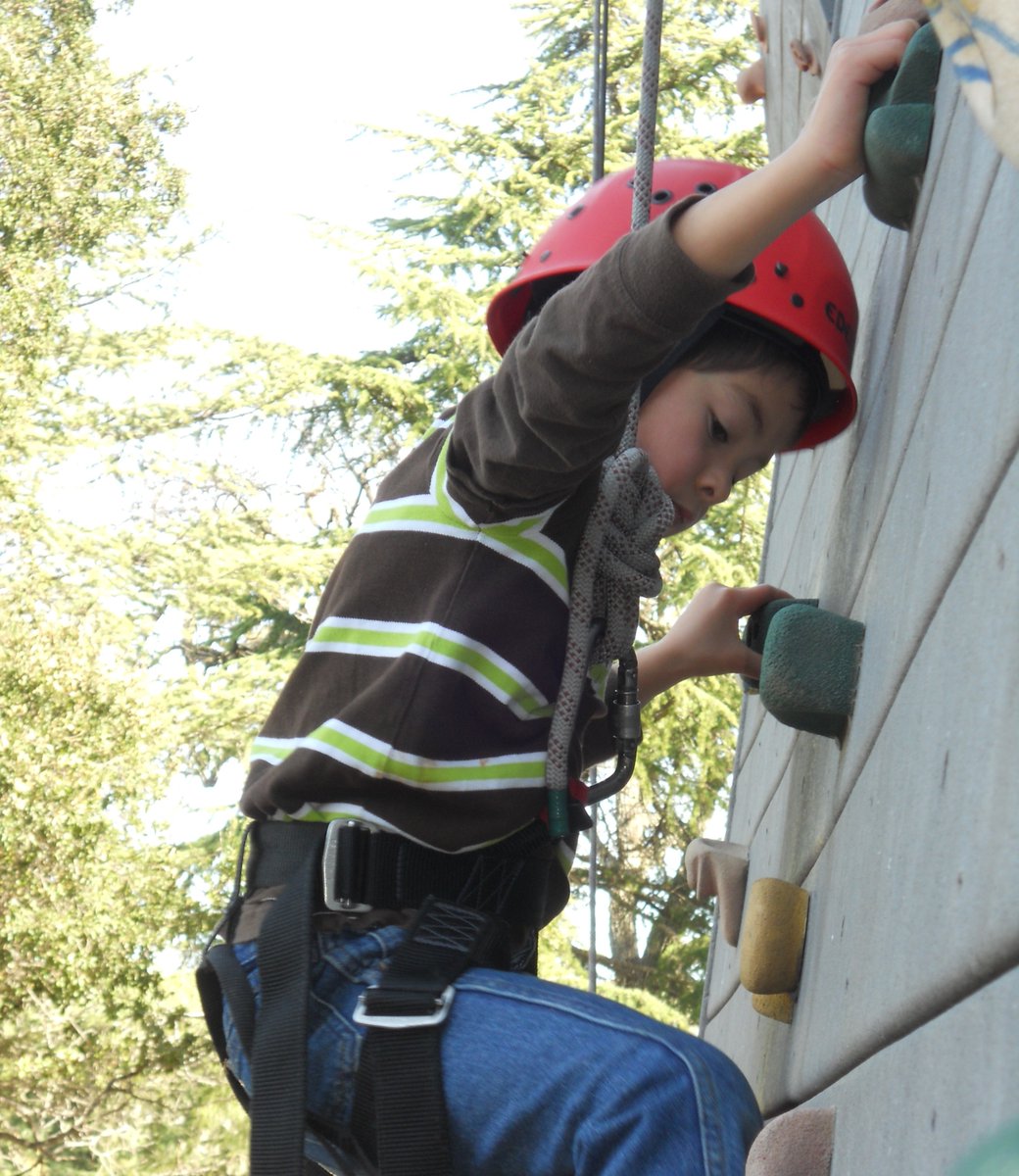 TTFFCamp's tweet photo. TTFF loves seeing campers overcome obstacles during their time at camp! From climbing the rock wall to trying new foods to meeting new people to so much more, everyday at camp presents a new adventure!

#thetaylorfamilyfoundation #ttffcamp #ThrowbackThursday #livermoreca https://t.co/kVJlRS2vhs