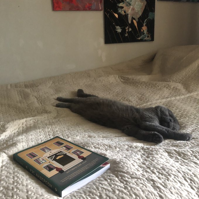 🥰 https://t.co/2IwAFVyMox<a href="/tag/camgirl"class="tags"><span>#camgirl</span></a><a href="/tag/chaturbate"class="tags"><span>#chaturbate</span></a><a href="/tag/chaturbatebroadcaster"class="tags"><span>#chaturbatebroadcaster</span></a>