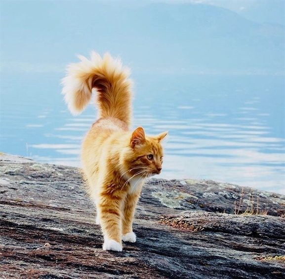 HereKittens's tweet photo. https://t.co/kwG2Wz5ZCB