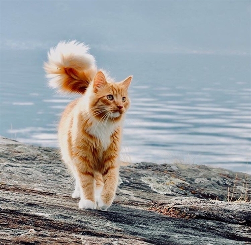 HereKittens's tweet photo. https://t.co/kwG2Wz5ZCB