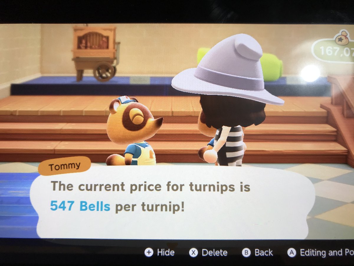 Animal Crossing Mama (ACNH_Mom) Twitter