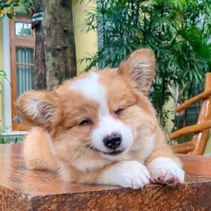 Blover_Hyun's tweet photo. 너아닌가?So cute!
@B_hundred_Hyun https://t.co/XTTShhlXUU