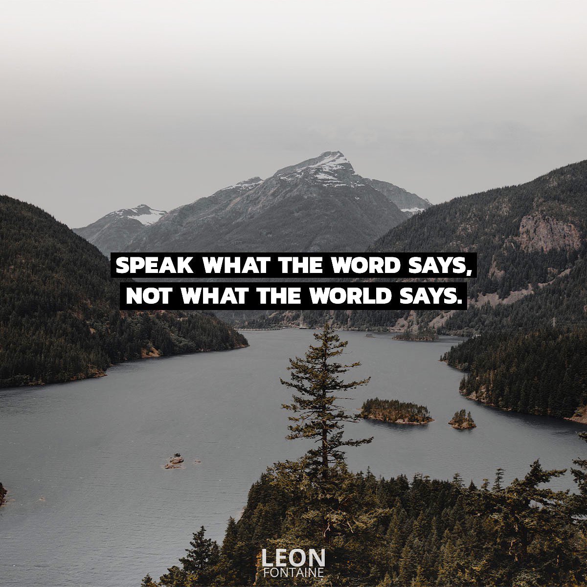 Leon Fontaine (@leonfontaine) on Twitter photo 