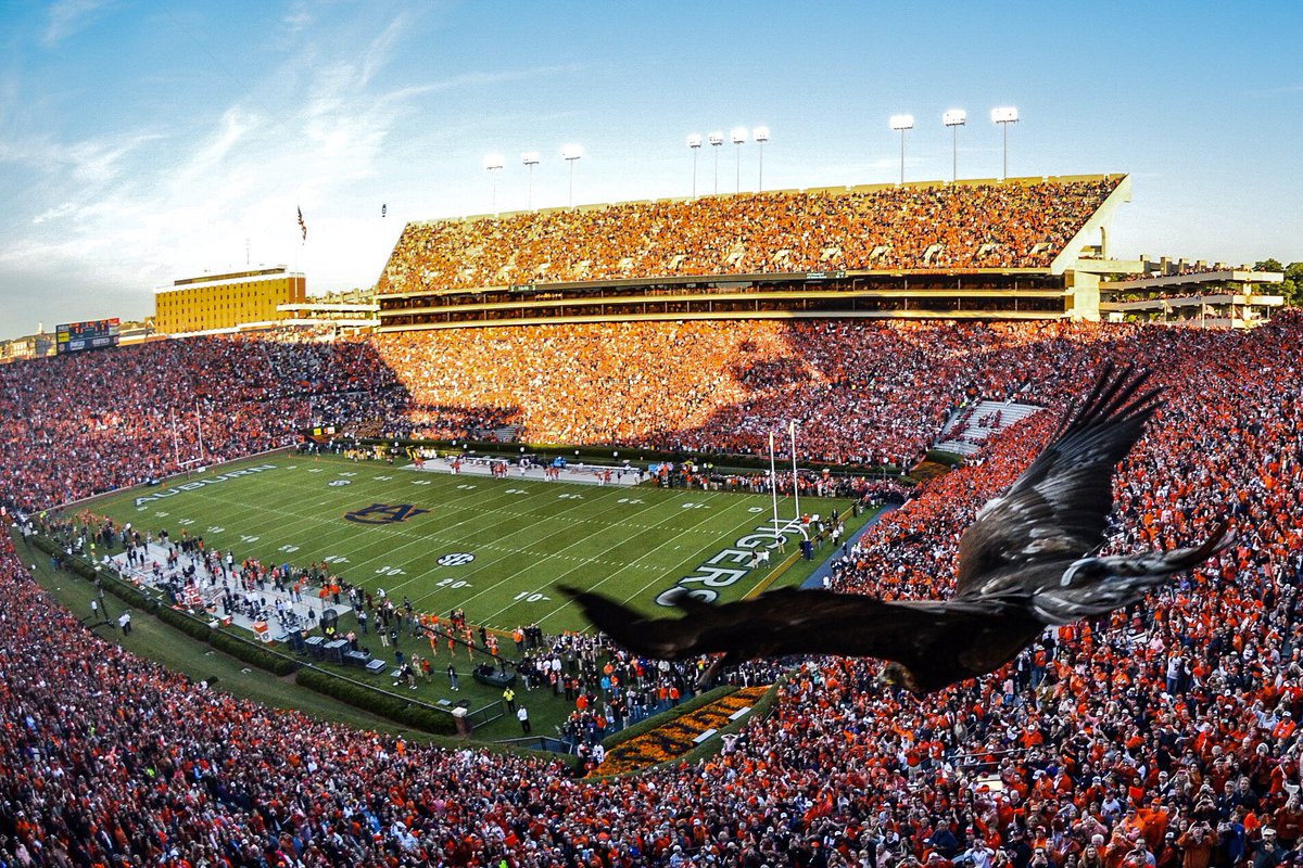 AmazingColleges's tweet photo. Auburn University • Auburn, Alabama https://t.co/euoEFiFADI