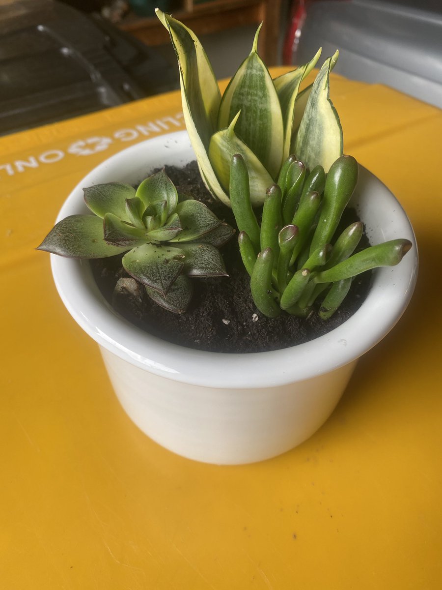 ckilgss's tweet photo. Some little projects 🥰 https://t.co/hQBYVcikWl