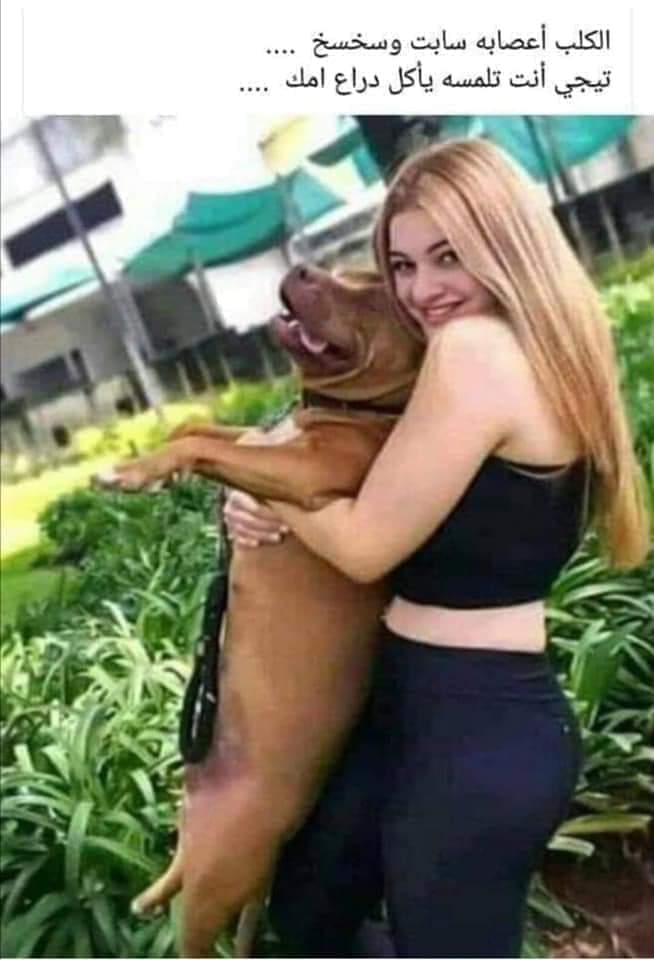 HaidyAdam3's tweet photo. للأسف الشباب فكرين نفسهم هما اللي بيشقطوا، ف الحقيقه هي اللي مختاراك وشقطاك ومحسساك انك الصياد وفي الأصل انت الفريسه😋😂💃

صباحووو بقا🧞‍♀️ https://t.co/TIq3SDu6Op