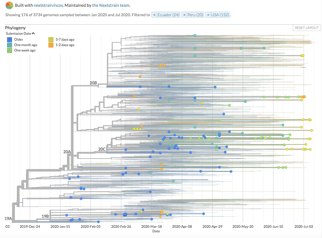 nextstrain's tweet photo. Thanks to @INSPI_ECUADOR @INS_Peru, Q Squared Solutions, @scdhec @UWVirology @UW @KATarinambraun @GageKMoreno @tcflab @dho_lab &amp; @GISAID, we have new #SARSCoV2 #COVID-19 sequences from Ecuador, Peru, USA! https://t.co/gxkn68xqQl