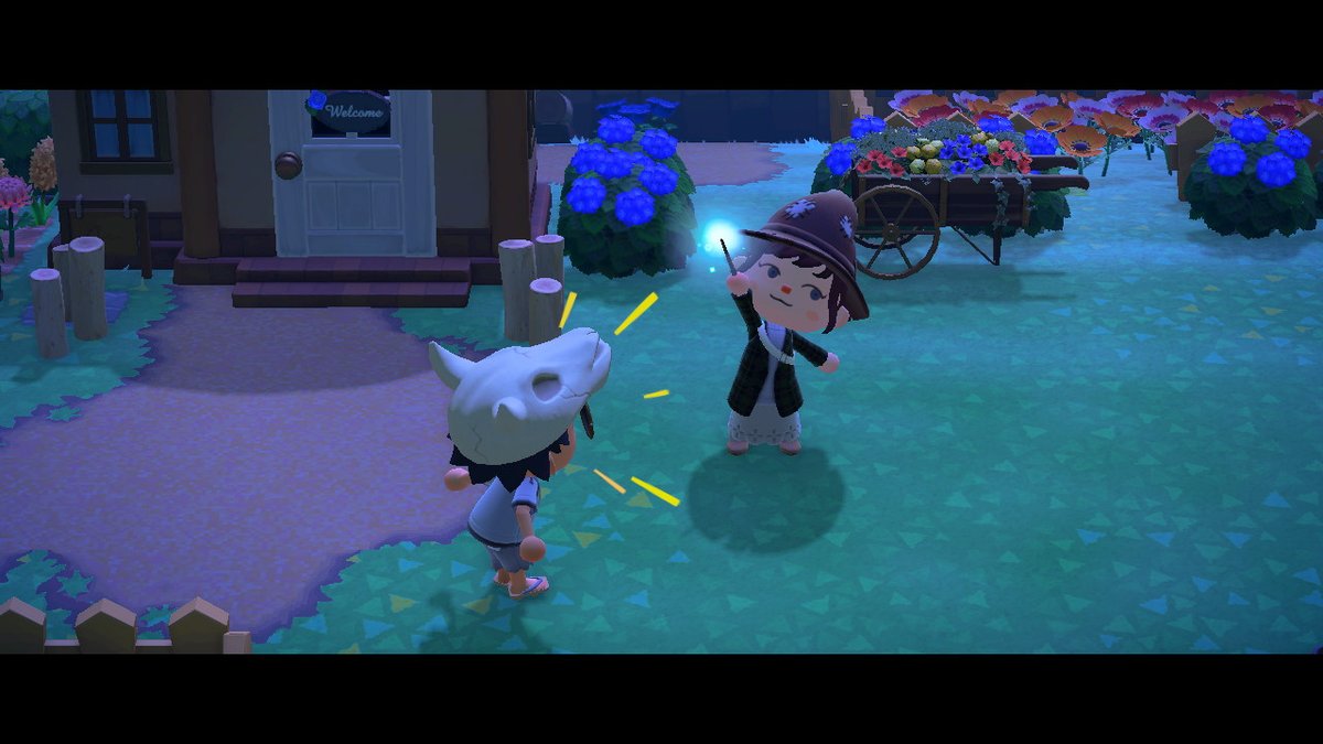 waz_aldo's tweet photo. @K3rosun "You shall not pass!" #AnimalCrossing #ACNH #NintendoSwitch https://t.co/UJxTC9lEnV