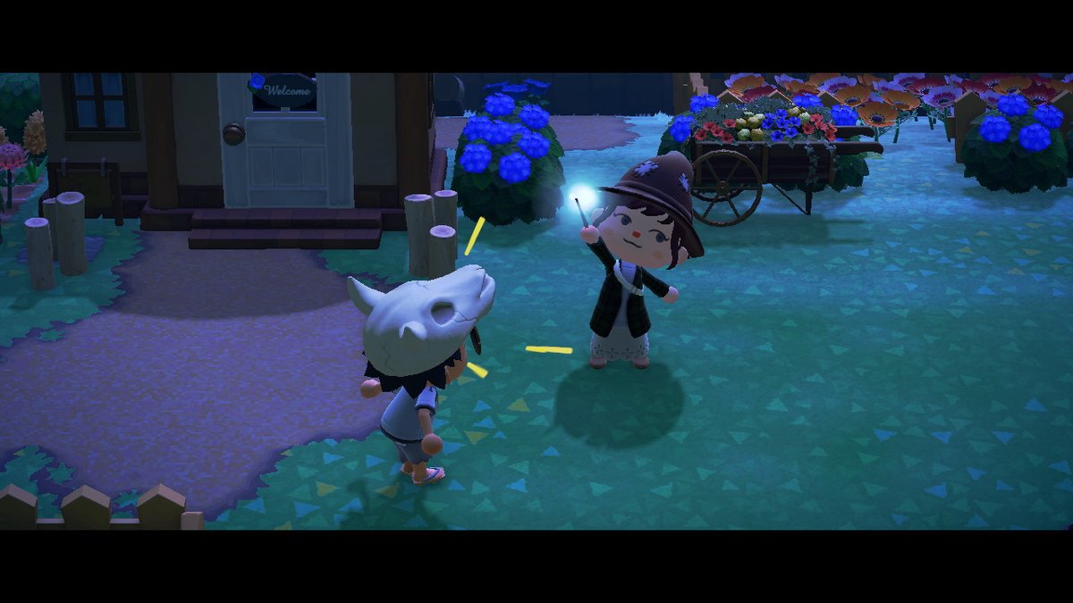 waz_aldo's tweet photo. @K3rosun "You shall not pass!" #AnimalCrossing #ACNH #NintendoSwitch https://t.co/UJxTC9lEnV