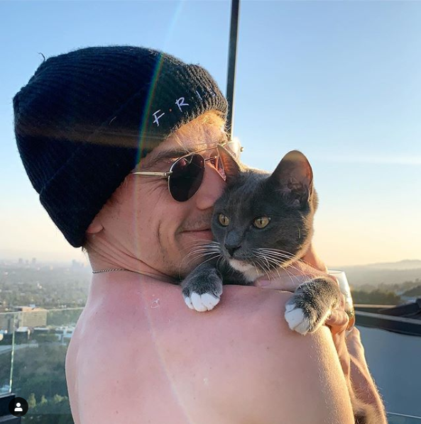 ryanhughestv's tweet photo. My Kitten Ron has gone missing as of tonight in West Hollywood Hills.

He's 7 months old, spayed, full grey coat with white paws and a white tuxedo on his chest. He also has a small white patch on his right shoulder blade

PLEASE HELP ME FIND HIM. 😭😢
My DMS are open.

Please RT https://t.co/r3xYFE2mLG