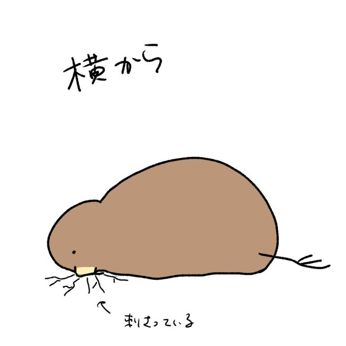 五体投地のtwitterイラスト検索結果 古い順