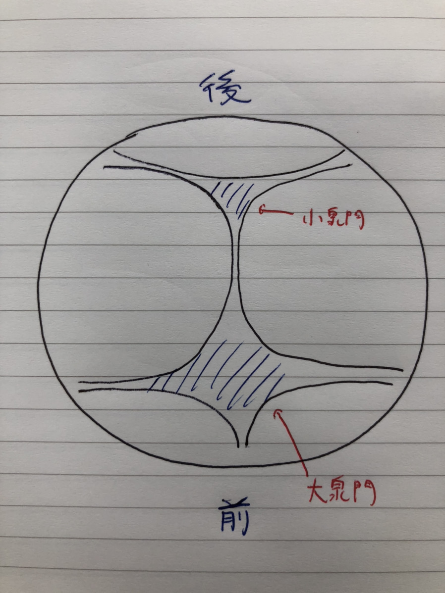 新生児 後頭部 へこみ