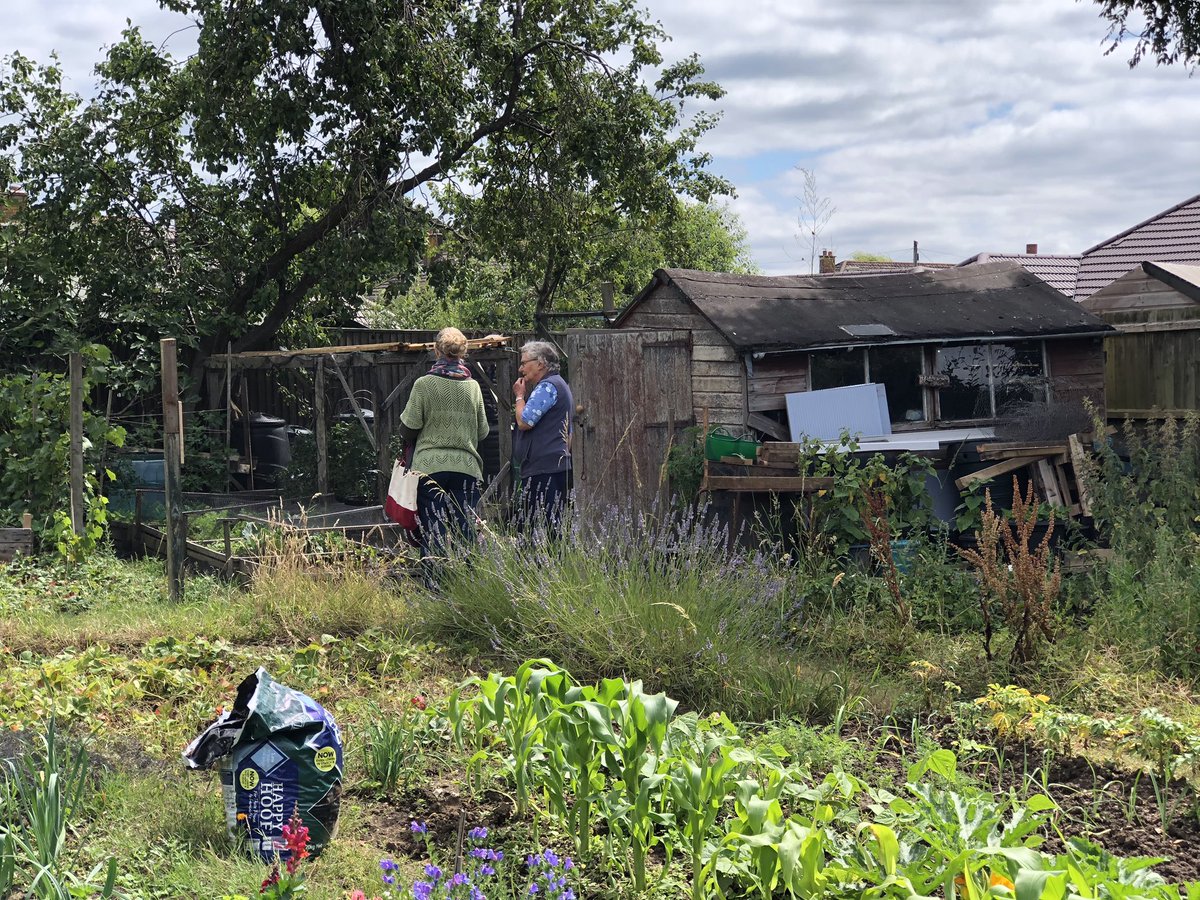 LymWild's tweet photo. We have mystery visitors to the plot during our work morning #Pennington #allotment. Seeking tips on #bee friendly planting &amp; making #comfreytea https://t.co/kG8gdnV4aF