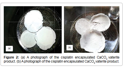 nanomedice's tweet photo. #Synthesis of Unstable Vaterite Polymorph of Porous Calcium Carbonate Nanoparticles, Encapsulation of Anticancer Drug Cisplatin, Studying Release Kinetics for Safe, Targeted Delivery and Slow Release #Submitpaper at https://t.co/dVryE4BVnm #Source: https://t.co/zyK8yuhM6w https://t.co/1rNi5tv2gq