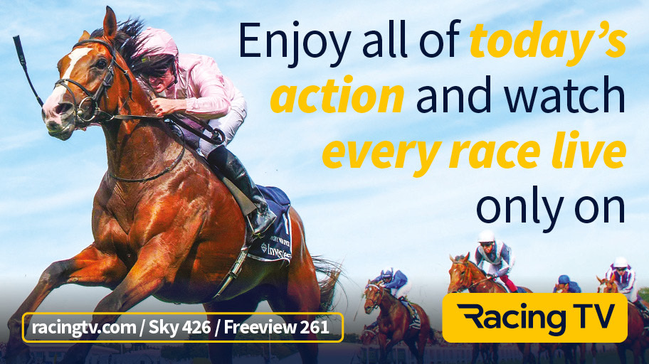 curraghrace's tweet photo. π± π @JuddmonteFarms Oaks Weekend starts tomorrow π±π
π Watch racing at home π Live on @RacingTV! πΊ
πClick on the link to find out more info https://t.co/KtQT4l0mmP
#keepingracingsafe #JuddmonteIrishOaks #wherechampionsaremade https://t.co/VE38Nufjk8