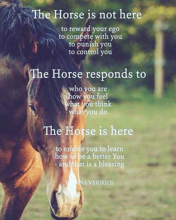 Follyfoothealing tweet media