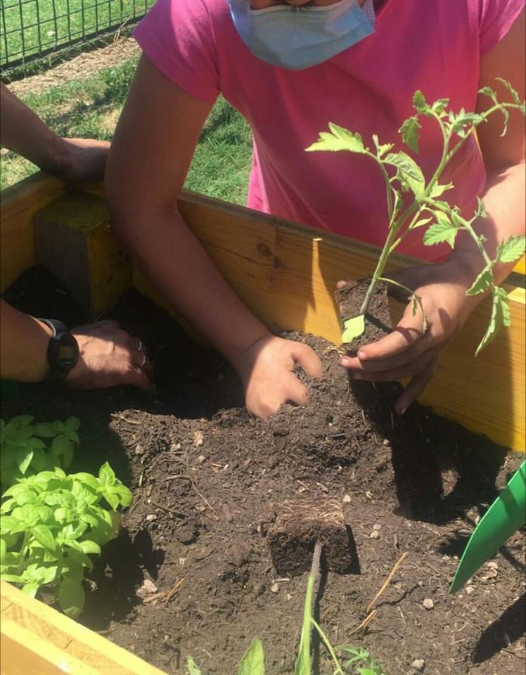 #ORTIURBANI riaperti! 
Grazie alla sinergia vincente tra il Municipio I Roma Centro e Comitato Amici di Via Plava del quartiere #QuartiereDellaVittoria uno dei punti del progetto di riqualificazione del Giardino Pietro Lombardi in Via Sabotino riparte.