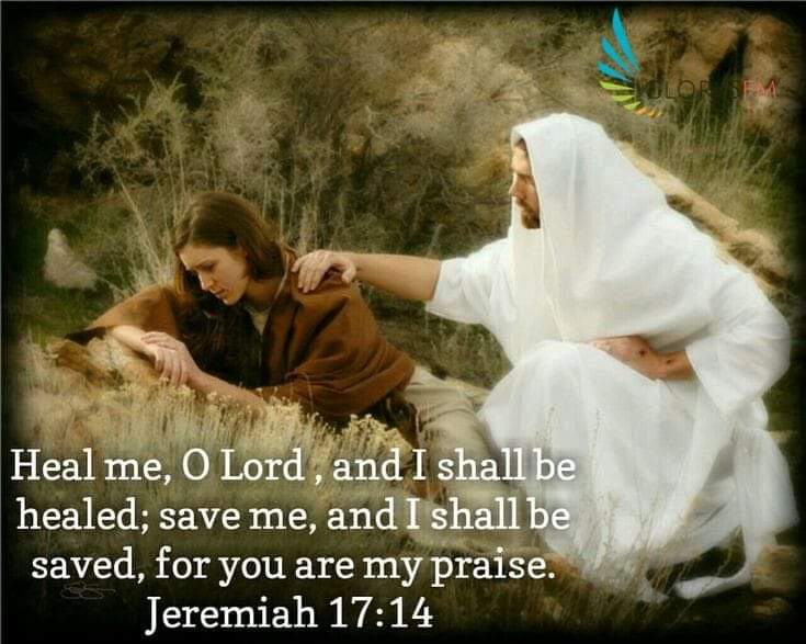 PainterRandy's tweet photo. 🦋Proverbs 19:17  If you help the poor, you are lending to the LORD—~ and he will repay you! 🦋 https://t.co/QM9l0hi1cc https://t.co/y8UptcyJG7