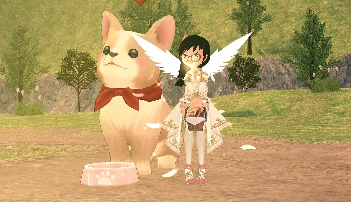 mabibobo's tweet photo. FREE NOVICE ADVENTURER CORGI GIVEAWAY!!!  To enter, you must be in the Nao server!  Follow my Twitter, REBLOG this post and enter your in game name &amp; Twitter name in the form here:
https://t.co/QUMIQNySOC
GOOD LUCK!!! DEADLINE IS JULY 31, 2020!!
#mabinogi https://t.co/qIC2l7MJ3R