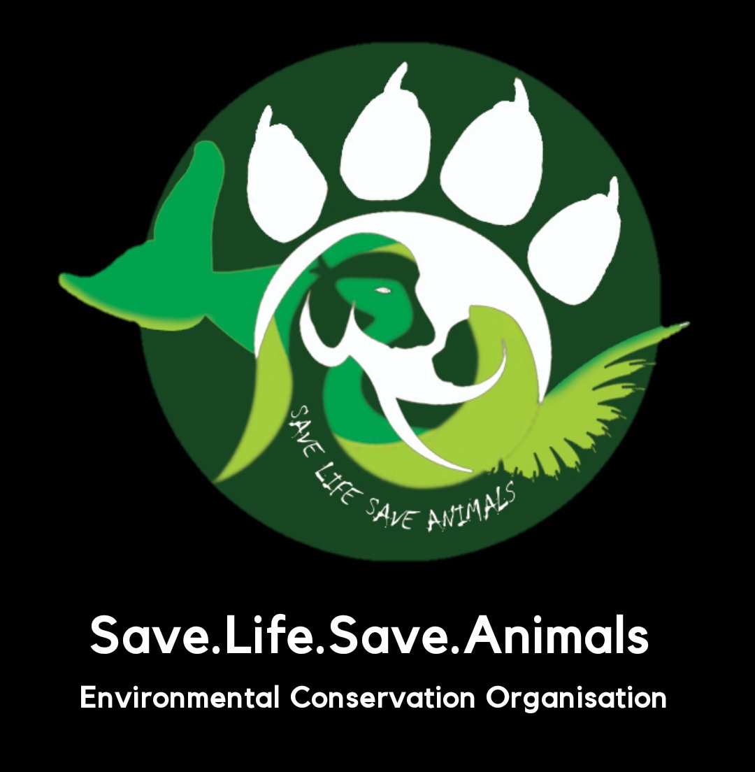Save Life Save Animals Organisation on Twitter: Save Life Save Animals Organisation on Twitter: