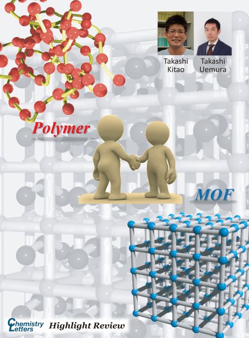 CSJjournals_jp's tweet image. [Highlight Review]
Metal–organic frameworks | Polymers | Host–guest systems
植村卓史先生 @UTokyo_New (東京大学) の論文がOpen Access
#金属有機構造体 #ポリマー #ホストゲスト

journal.csj.jp/doi/abs/10.124…