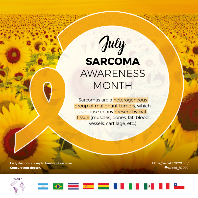 SELNET (SARCOMA EUROPEAN LATINAMERICAN NETWORK)
MULTIDISCIPLINARY NETWORK OF CLINICAL AND TRANSLATIONAL SPECIALISTS TO IMPROVE DIAGNOSIS AND CLINICAL CARE IN SARCOMAS.
🎗🎗🎗 🌻🌻🌻🎗🎗🎗 🌻🌻🌻🎗🎗🎗 🌻🌻🌻