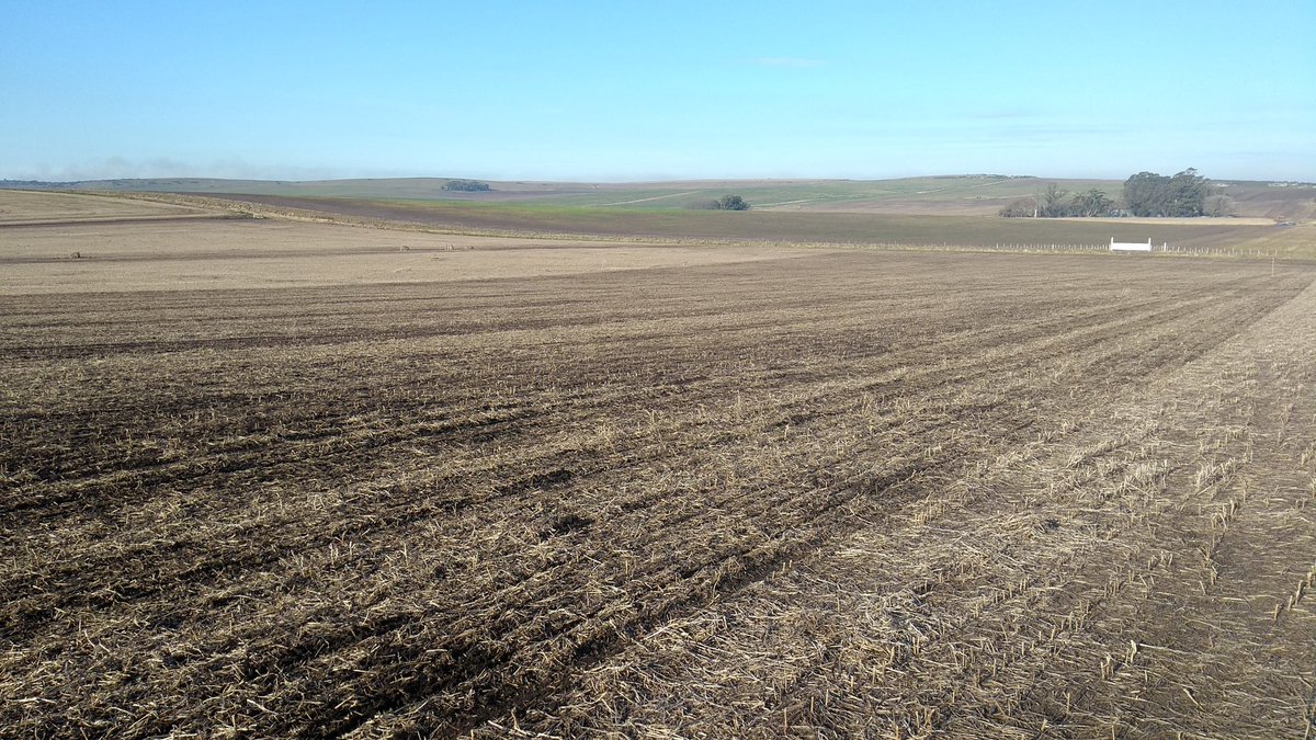 Bit_Field_'s tweet photo. Largamos módulo #CerealPlus de @YaraArgentina, con el objetivo de ajustar nutrición por ambientes en lotes de cebada de alta proteína. 🌾💻🛰️ #Agronomy #DataScience https://t.co/dWu5s4wz70