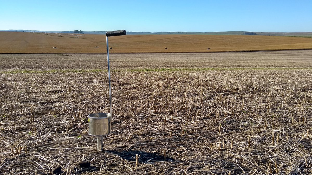 Bit_Field_'s tweet photo. Largamos módulo #CerealPlus de @YaraArgentina, con el objetivo de ajustar nutrición por ambientes en lotes de cebada de alta proteína. 🌾💻🛰️ #Agronomy #DataScience https://t.co/dWu5s4wz70