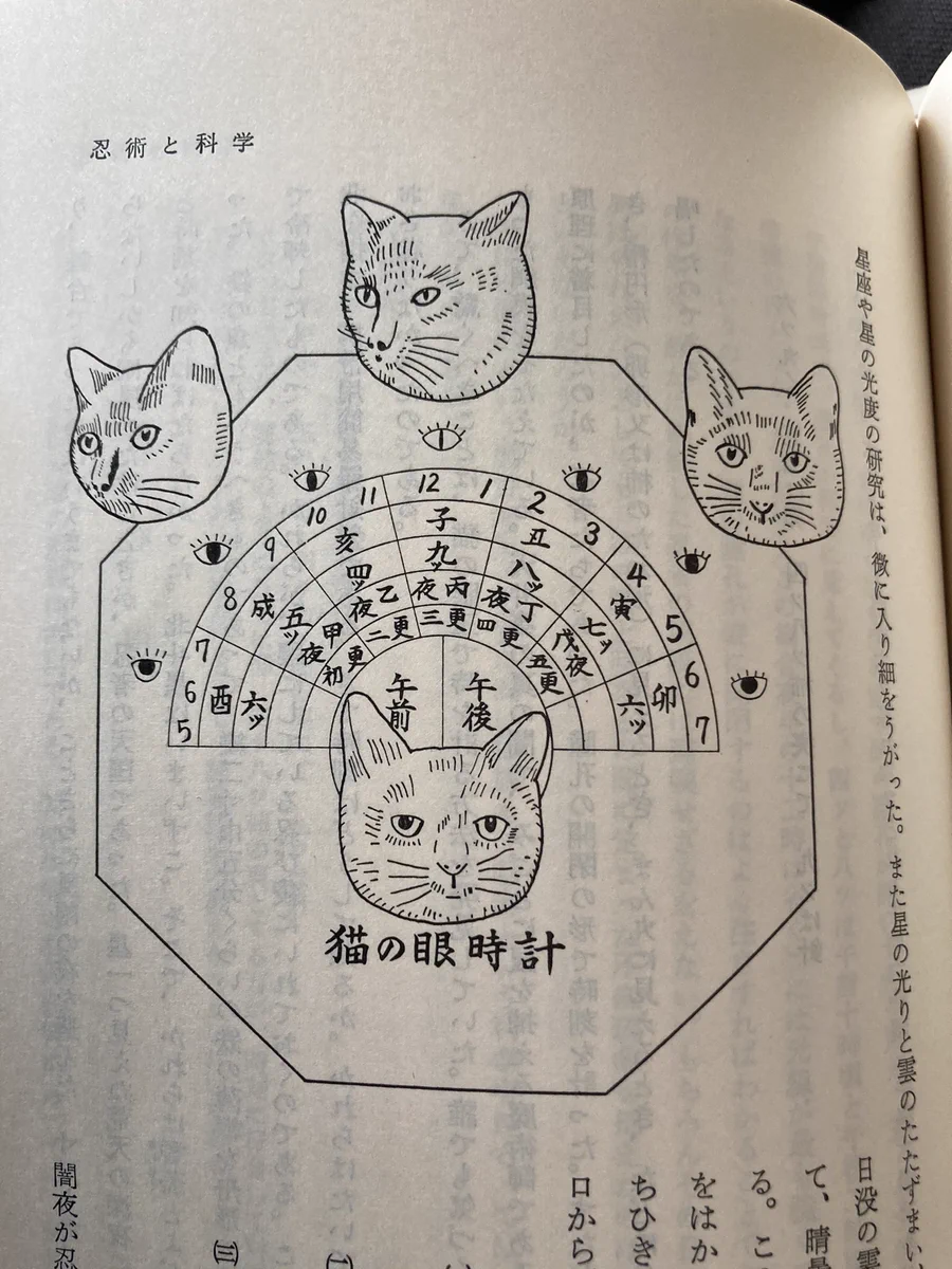 可愛すぎるwww忍者はかつて猫の目の形で時刻が確認できる「猫の眼時計」を活用していた！