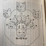 可愛すぎる!忍者はかつて猫の目の形で時刻が確認できる「猫の眼時計」を活用していた!