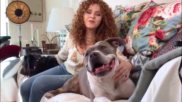 Bernadette Peters closes out this year's virtual #BroadwayBarks by singing 'Kramer's Song' to her sweet pups and all of us at home.
