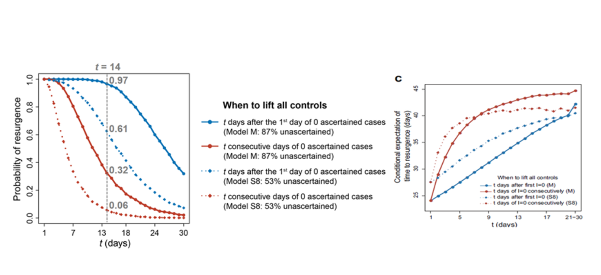 If all restrictions are lifted after 14 days from the first day on which no cases are reported, the chances of resurgence are expected to be very high (up to 97%) & happen on day 32 after lifting restrictions,owing to the role of undetected cases with mild or no symptoms (16/n)