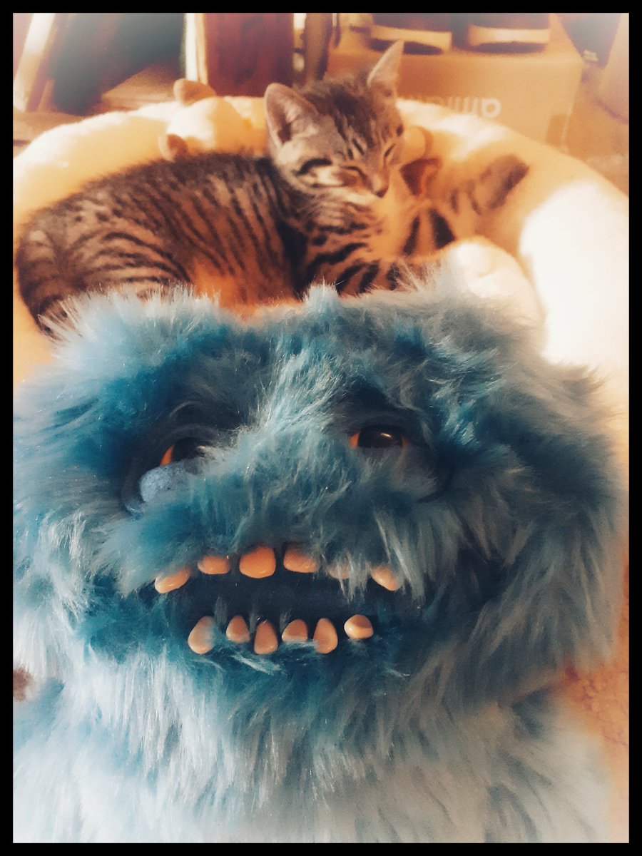 THORAZINE666's tweet photo. Abika with Fuggler.@fugglers https://t.co/U1h6rD6SNl
