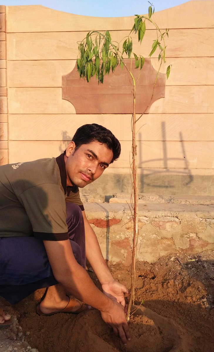 m_faizan_n's tweet photo. प्रकृति की तरफ अपनी कृतज्ञता ज्ञापित करते हुए आज अपने जन्म दिवस पर मैंने एक पेड़ लगाया | आप भी अपने जन्म दिन पर एक पेड़ जरूर लगाएं।

#Gogreen #Environment 🌲
#Legend #atmanirbhar
#OneStudentOneTree 
#BirthdayCelebration #fridaymorning #Barca #Crown https://t.co/X8CCApsQTQ