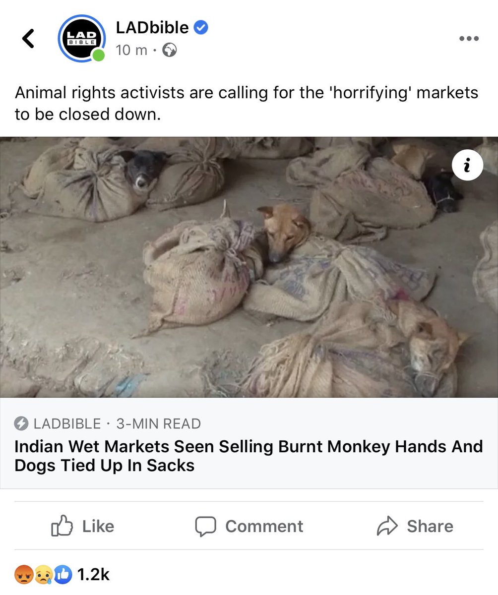 CosmicSkeptic's tweet photo. Dog meat tho 🤤🥓🐕 eating meat is natural lol - how do you know if someone doesn’t eat dogs? Don’t worry, they’ll tell you!

If u don’t wanna eat dogs then cool but don’t force your views on other people, ffs. Let them eat what they want. I only eat my neighbour’s dogs anyway. https://t.co/JU3gzawbFE