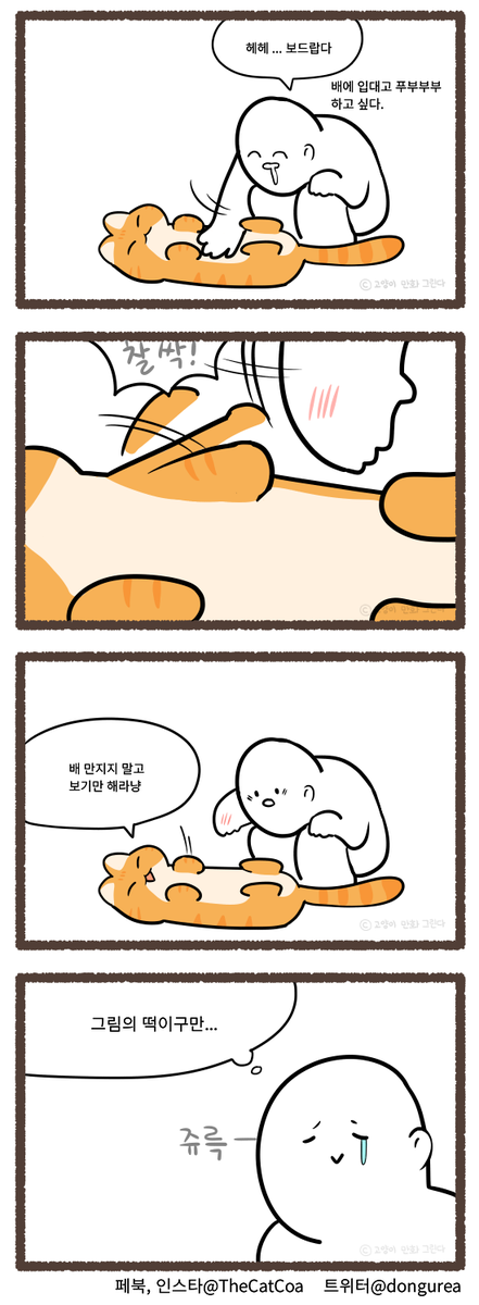 알다가도 모를 고양이 